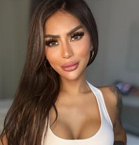 VVIP TOP Mistress Grey poppers arrived - Dominadora transexual in Dubai