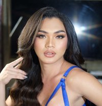 VVIP Your Goddess Nova Ericka Functional - Acompañantes transexual in Bangkok Photo 25 of 26