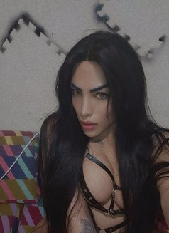 Waad Queen - Transsexual escort in Beirut Photo 6 of 13