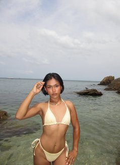 Walentin - Masajista in Koh Phangan Photo 5 of 5
