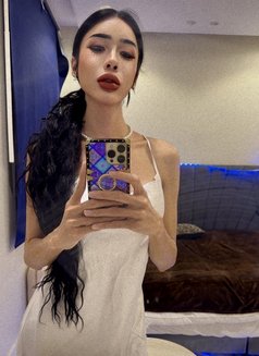 Wanda good service 69 - Transsexual escort in Riyadh Photo 11 of 12