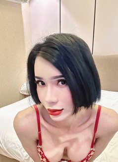 Wanda238 Ladyboy - Transsexual escort in Riyadh Photo 7 of 9