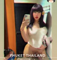 WARIS IN PATONG #VVIP BOTH 🦮 - Acompañantes transexual in Phuket