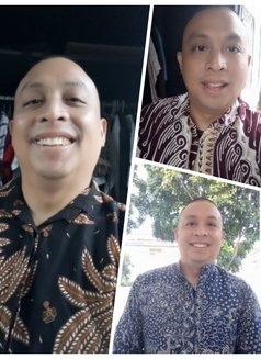Warm cum4pussy - Male escort in Jakarta Photo 17 of 24
