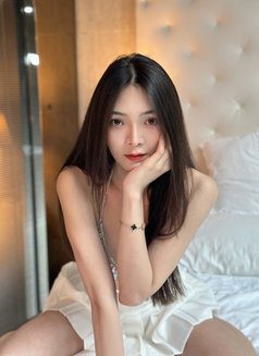 Warwar - Transsexual escort in Tokyo Photo 8 of 8
