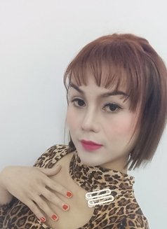 Watanika Ladyboy, Both - Transsexual escort in Muscat Photo 1 of 4