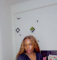 Wealth - puta in Gurgaon