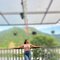 🦋❣️Avilable Cam or Meet 🦋🥂 - escort in Chennai Photo 2 of 6