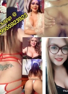 WEBCAM SEX SHOW VIDEOSEX SELLING_TS ELLA - Transsexual escort in Doha Photo 18 of 30