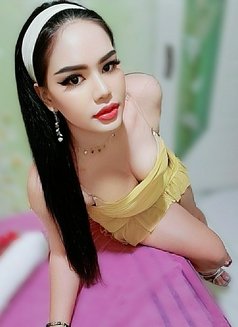 Weena Sexy Beauty Cim 69 - Transsexual escort in Dubai Photo 10 of 18