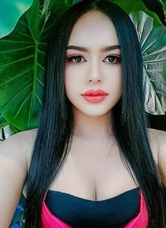 Weena Sexy Beauty Cim 69 - Transsexual escort in Dubai Photo 16 of 18
