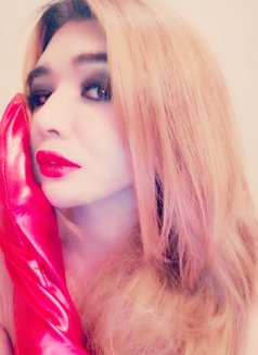 WellhungTOPdominantMistress - Acompañantes transexual in Singapore Photo 17 of 23