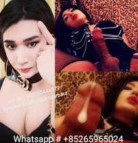 WellhungTOPdominantMistress - Transsexual escort in Singapore