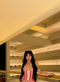 Wet and horny - escort in Singapore Photo 3 of 4