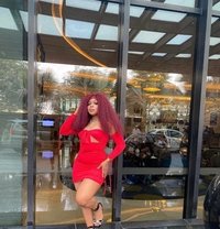 Wet, Tight and Sexy Bebe - escort in Ludhiana