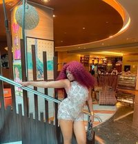Wet, Tight and Sexy Bebe - escort in Ludhiana