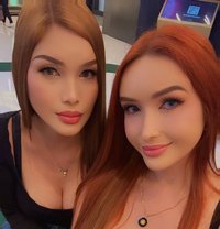 Wetpussy TightAnal Pornstars - escort in Macao