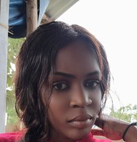 Whiskey - escort in Mombasa