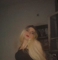 Talaa22cm - Transsexual escort in Beirut