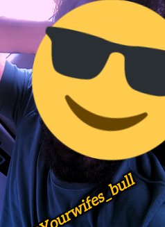 Wifes Bull - Male escort in New Delhi Photo 1 of 1