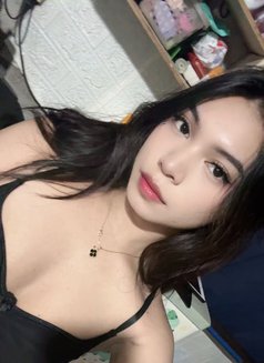 Wild Arriane<3 (Meet,Camshow) - Transsexual escort in Manila Photo 14 of 14