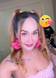 Wild Bitch Sexy TSErha - Transsexual escort in Singapore Photo 3 of 7