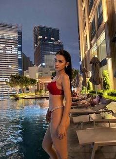 Wild Lotus - puta in Bangkok Photo 10 of 11