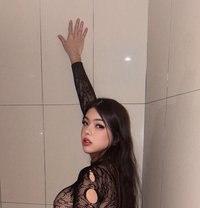 WILD MAYUMI - Transsexual escort in Kuala Lumpur