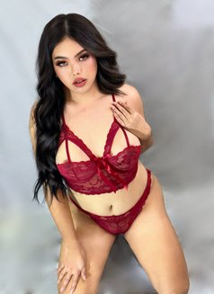 WILD MAYUMI - Transsexual escort in Kuala Lumpur Photo 19 of 23