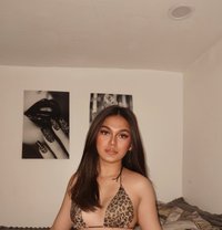 Wild Meia - Transsexual escort in Manila