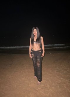 Wild mistress Desire (strong poppers) - Transsexual escort in Dubai Photo 14 of 16