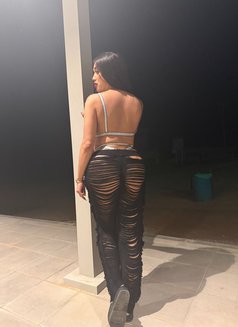 Wild mistress Desire (strong poppers) - Transsexual escort in Dubai Photo 15 of 16
