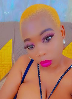 Wild petals orgasm (real meet$cam show) - escort in Chennai Photo 8 of 8