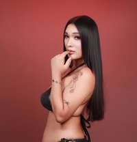 Wild Ts Alisha Versatile - Acompañantes transexual in Kuala Lumpur Photo 5 of 9