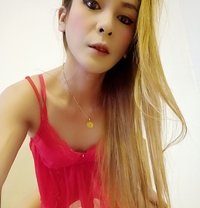 Wildest mistress in bed - Transsexual escort in Bangkok