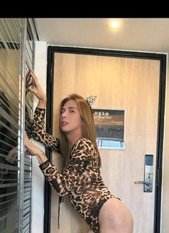 WildTs Sandra - Transsexual escort in Kuala Lumpur Photo 17 of 17