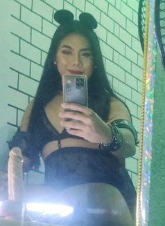 Willing to Do All - Transsexual escort in Manila Photo 3 of 5