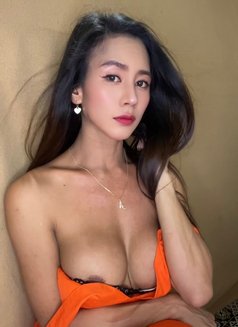 Willow - Transsexual escort in Singapore Photo 14 of 22