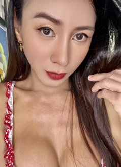 Willow - Transsexual escort in Singapore Photo 21 of 22