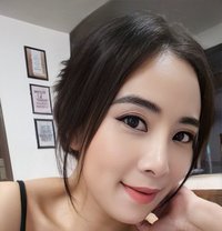 Windycarax - escort in Noida