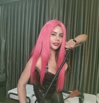 Winnie - Transsexual escort in Bangkok
