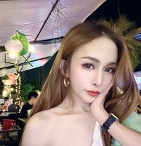 Wiwhan So Cute69 - Transsexual escort in Bangkok Photo 13 of 13
