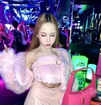 Wiwhan So Cute69 - Transsexual escort in Bangkok