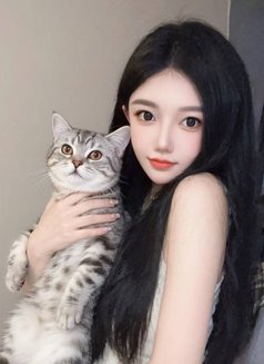 喔喔wk - escort in Dubai Photo 1 of 3