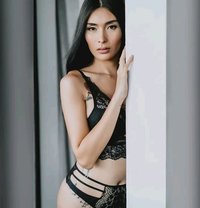 Woldclassdominatrix - Transsexual dominatrix in Singapore