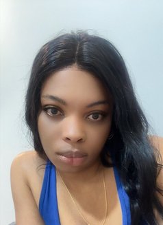 Wolfy - Intérprete de adultos in Yerevan Photo 1 of 4