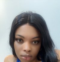 Wolfy - Intérprete de adultos in Yerevan