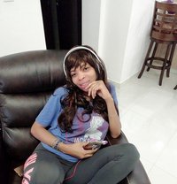 Wolfy - Intérprete de adultos in Yerevan