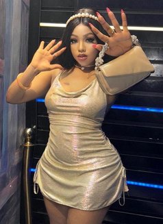 Wolfy - Intérprete de adultos in Yerevan Photo 5 of 5