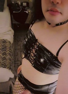 [WOMEN ONLY] Femboy Slave - Acompañantes transexual in Dubai Photo 9 of 9